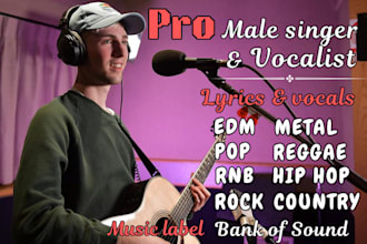 male singer, male pop singer, rnb singer edm vocals pop male vocalist edm singer