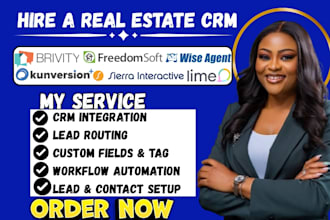 setup brivity freedomsoft wise agent kunversion sierra interactive lime crm