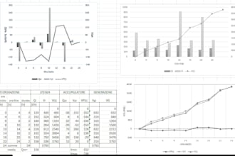 create custom excel dashboards and perform data analysis