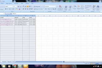 microsoft excel data entry and formatting