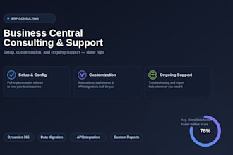 provide business central erp consulting, support and customization