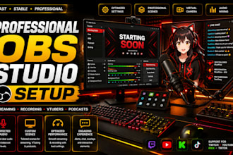 professionally set up obs studio for streaming, recording, vtubers, and podcast