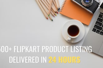 do 500 flipkart bulk product listing in 24 hours with 0 percent error