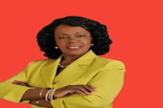 handle financial research, accounting cases and feasibility studies