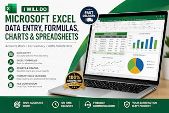 do microsoft excel data entry,formulas,charts, and spreadsheet formatting