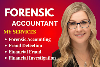 investigate financial fraud and detect fraud or errors