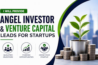 provide angel investor and venture capital leads startups