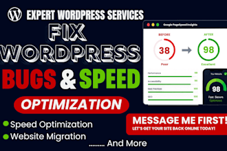 fix wordpress bugs, do wordpress speed optimization and migration