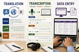 do translation, transcription and data entry services