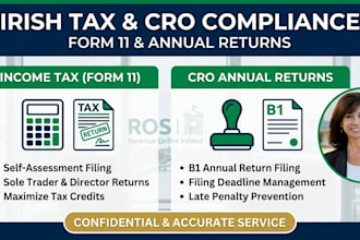 file your irish income tax return form 11 and cro annual return