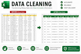 clean, format and wrangle your excel data file