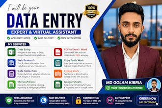 save your time with accurate excel data entry