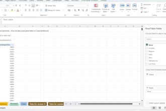 provide excel data analysis and professional gis mapping
