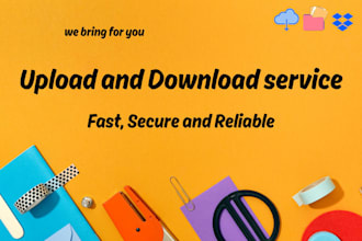 provide professional data downloading and uploading services