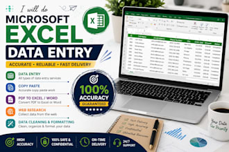 do microsoft excel data entry, copy paste, typing and web research