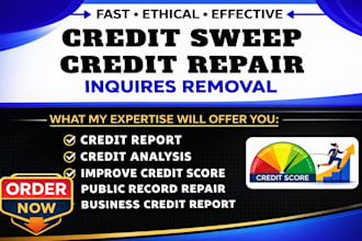 do professional credit sweep, remove late payments, collection, charge offs