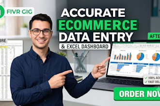 do accurate ecommerce data entry with dashboard in excel