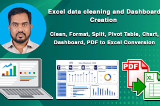 excel data cleaning and dashboard creation