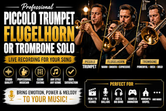 play professional trumpet, flugelhorn and trombone solo