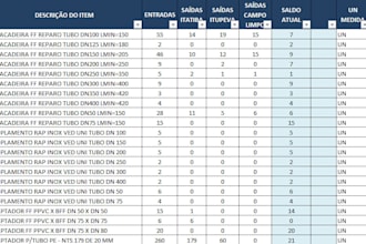 build professional microsoft excel dashboards and reports