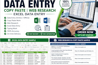 do accurate data entry, copypaste research,and excel data