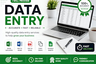 do accurate data entry, copy paste, and PDF to word excel