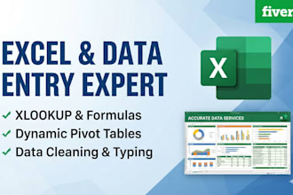 do expert data entry excel xlookup and pivot table