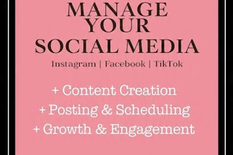 manage instagram, facebook,tiktok page for small business