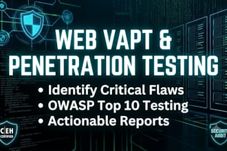 do web application vulnerability assessment and pentest