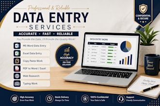 do professional data entry, ms word and excel