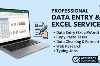 do professional data entry, excel data entry