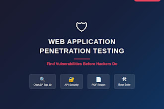 do web application penetration testing and security audit
