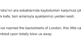 translate english to turkish or turkish to english
