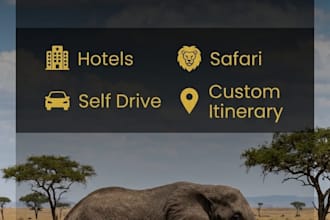 plan your perfect south africa, kenya or tanzania travel itinerary
