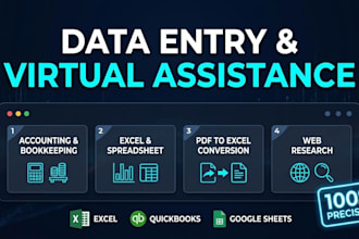 do professional data entry, financial statements, and accounting work