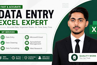 do data entry , data cleaning , excel formatting and copy paste