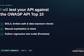 perform API security assessment based on owasp API security top 10
