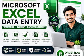 do microsoft excel data entry, formatting and cleanup