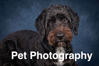 create memorable portrait photos of you and your beloved pet animal photography