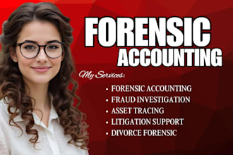 perform forensic accounting for court case, divorce, asset tracing,legal dispute