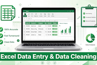 do excel data entry,data cleaning , PDF to excel and spread sheet formatting