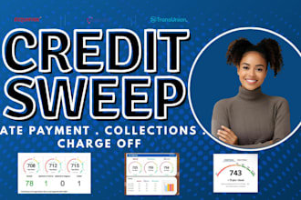 remove all negative items from your report in 48hrs charge off late payment
