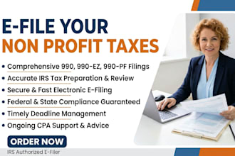 prepare and efile US non profit tax returns form 990, 990ez