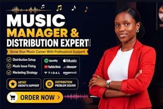 be your music manager, handle music distribution, fix issues, music marketing