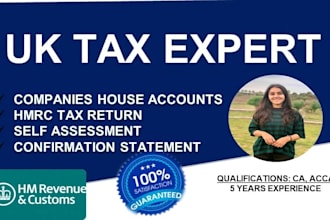 professionally prepare and file US tax returns for individual llc and corporate