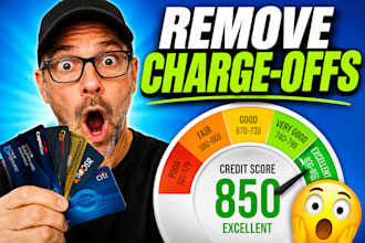 do professional credit sweep, remove late payments, collection, charge offs