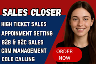 be your high ticket saleperson b2b salescloser sales representative appointment