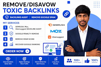 audit backlinks, remove toxic links, and improve SEO