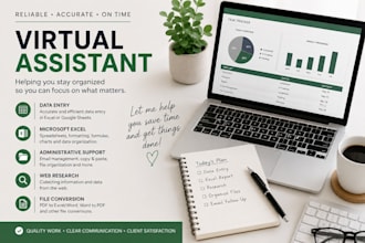 be your virtual assistant for data entry, exel and adminstrative tasks