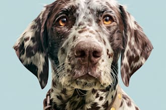 draw custom cartoon pet portraits of dogs cats or any pets